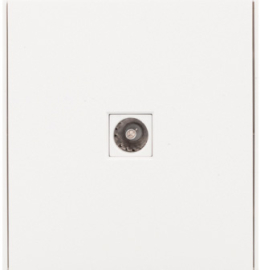 Розетка оконечная
Miele Strong,  телевизионная (TV),  одинарная,   цвет - жемчуг,  пластмасса,  KR-78-0723-4,  Kranz
 - PULSAL.RU